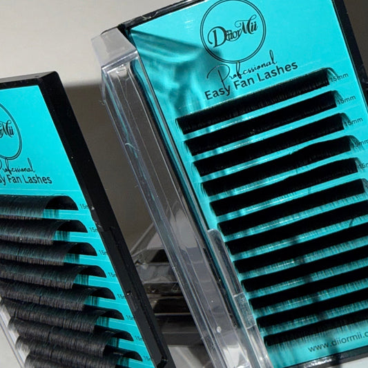 Single Lash Tray Bundle - DiiorMii